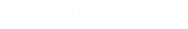 Sebring SEO